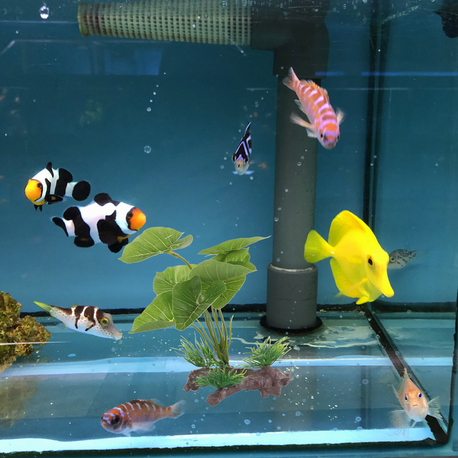 Planted Aquarium Care - Plantas de Plástico Realistas para Aquários