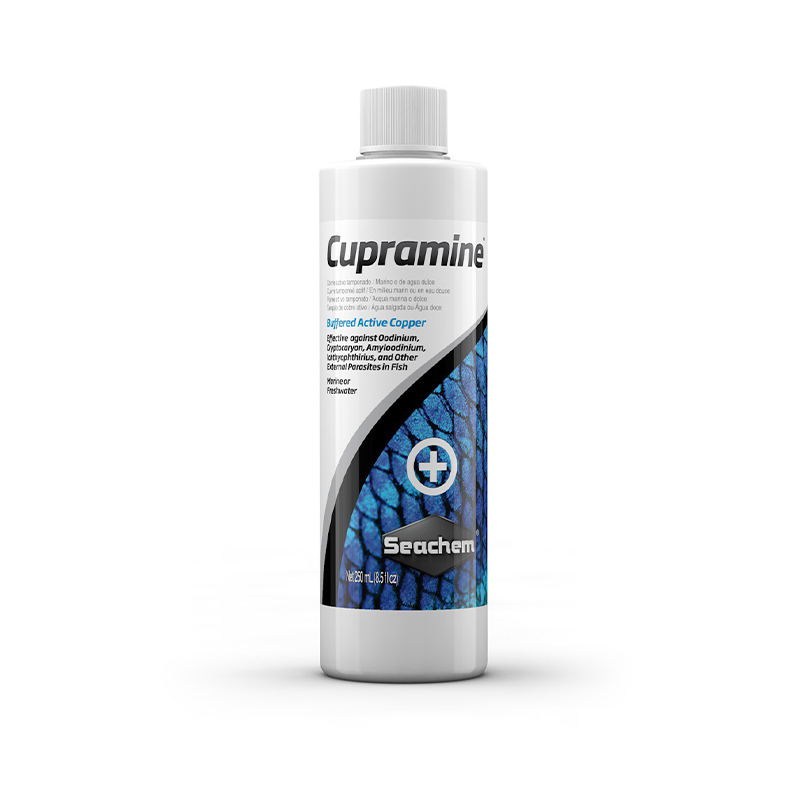 Planted Aquarium Care - Tratamento para Manchas Brancas em Peixes