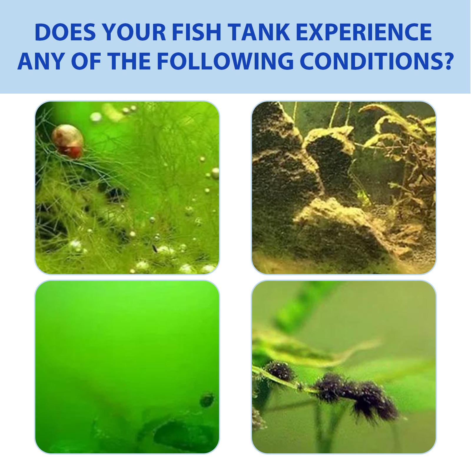 Pó de controle de algas de aqu - Planted Aquarium Algae Control avaliação e preço