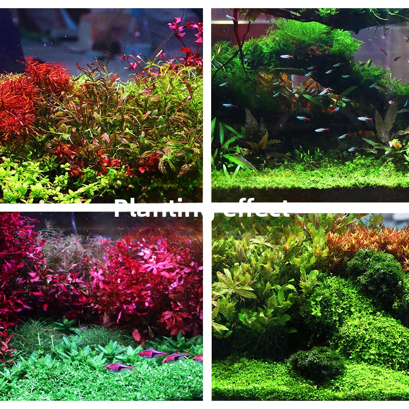 SYSENCIAGA Substrato de aquári - Planted Aquarium Fertilizer avaliação e preço