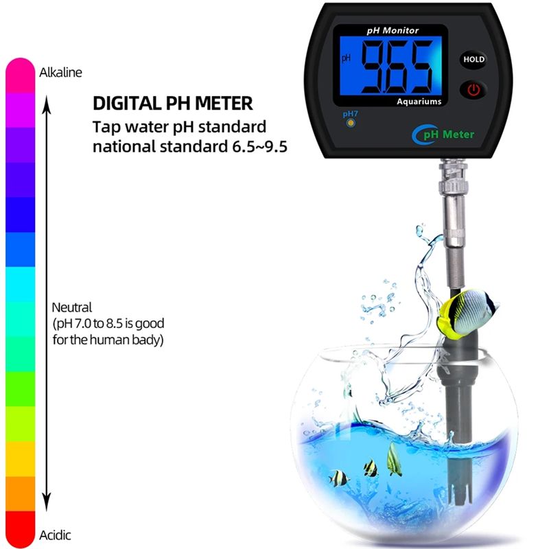 Medidor de pH M12K-PH online p - Planted Aquarium Ph avaliação e preço