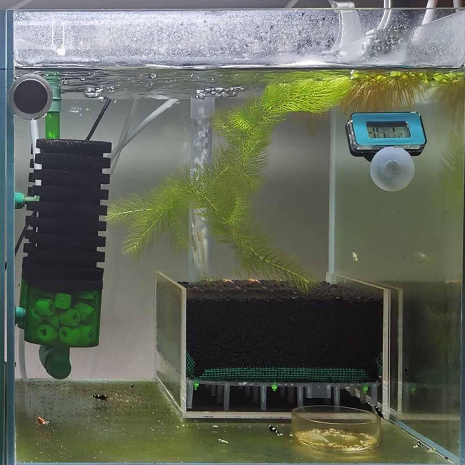 Caixa de Filtro de Aquário em  - Planted Aquarium Undergravel Filter avaliação e preço