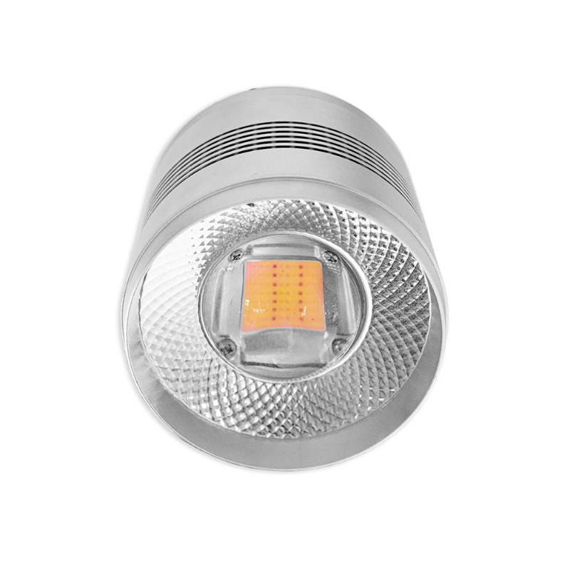 Luz LED de 70W para Aquários d - Planted Aquarium Algae Control avaliação e preço