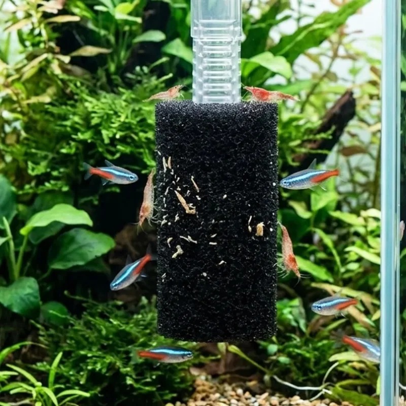 50/5x Esponja Pré-Filtro para  - Aquarium Planted Filter avaliação e preço