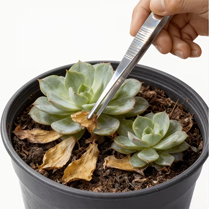 Conjunto de pinças de aço inox - Planted Aquarium Care avaliação e preço
