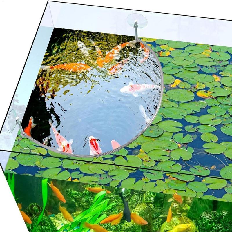 Anel de alimentação de peixes  - Aquarium Planted Filter avaliação e preço