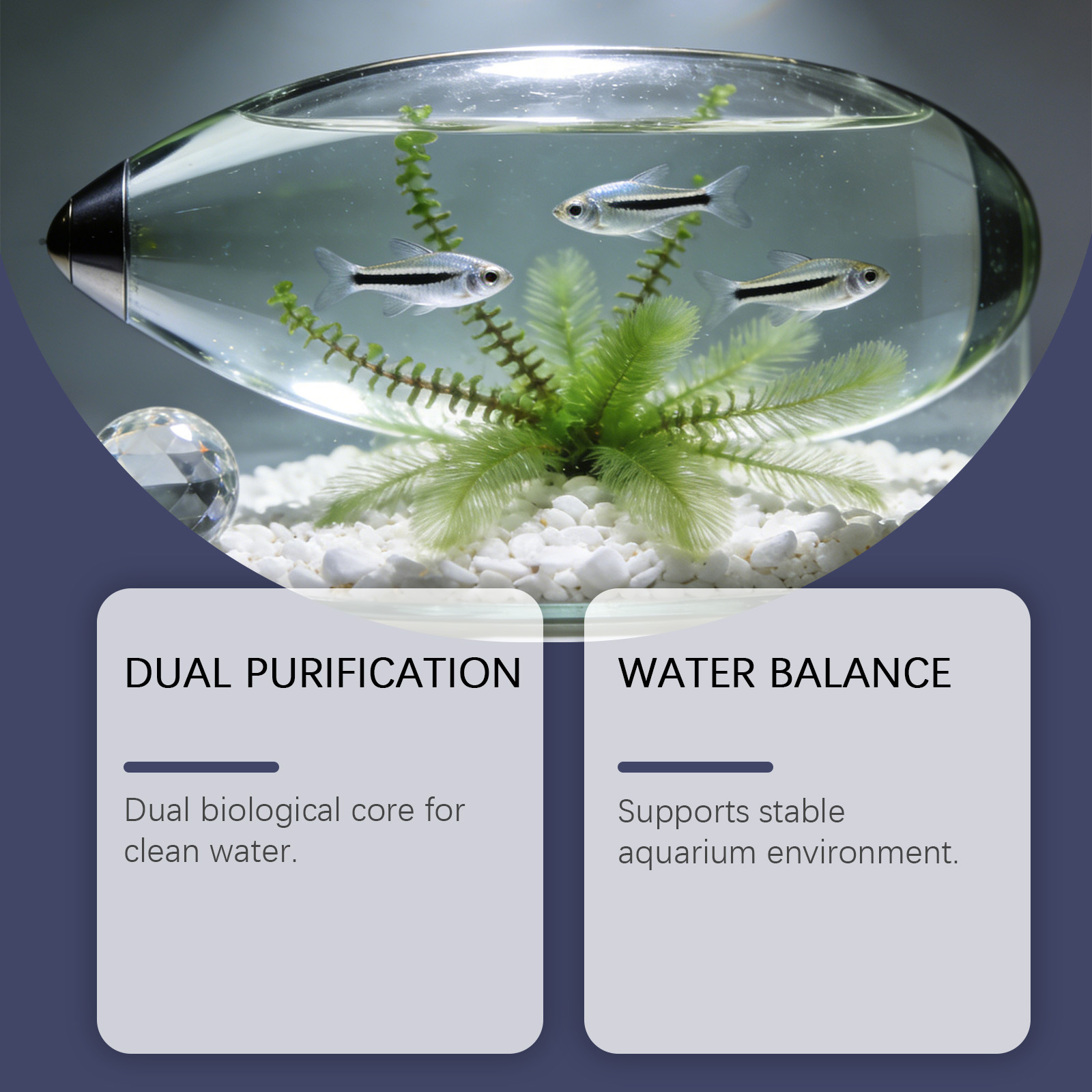 Comprimidos Removedores de Alg - Planted Aquarium Algae Control avaliação e preço