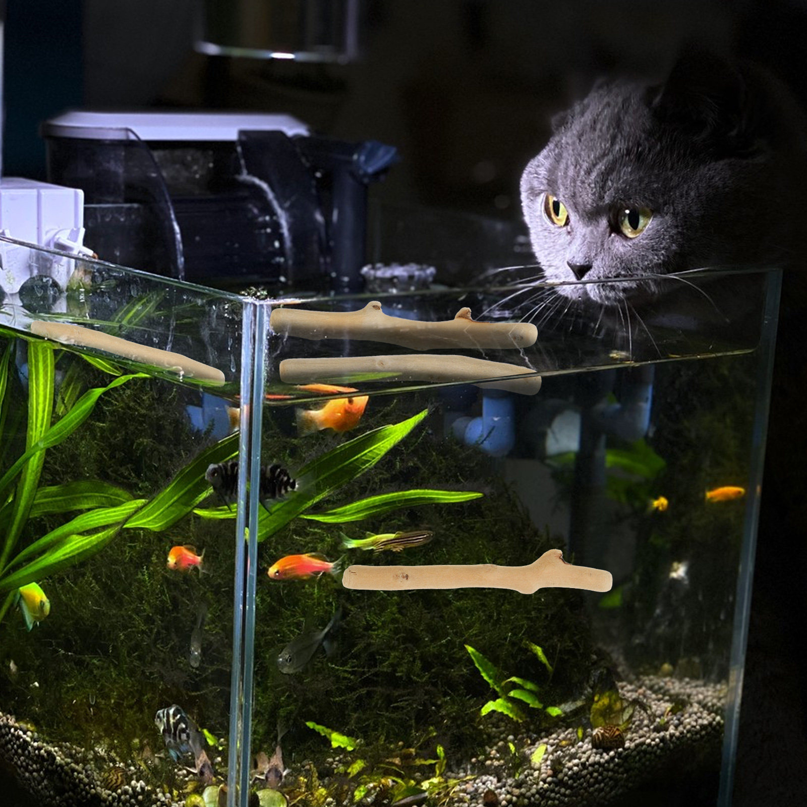 1 Conjunto de Decoração de Mad - Planted Aquarium Ph avaliação e preço
