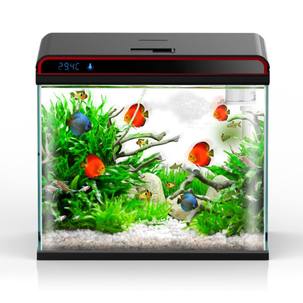 Condicionador de água para aqu - Planted Aquarium Algae Control avaliação e preço